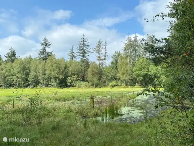 Location de Vacances Pays-Bas, Gueldre, Lievelde, maison de vacances - NatuurlijkLievelde La beauté naturelle de l’Achterhoek est très variée et vous invite à une journée de détente ou à un voyage de découverte aventureux.