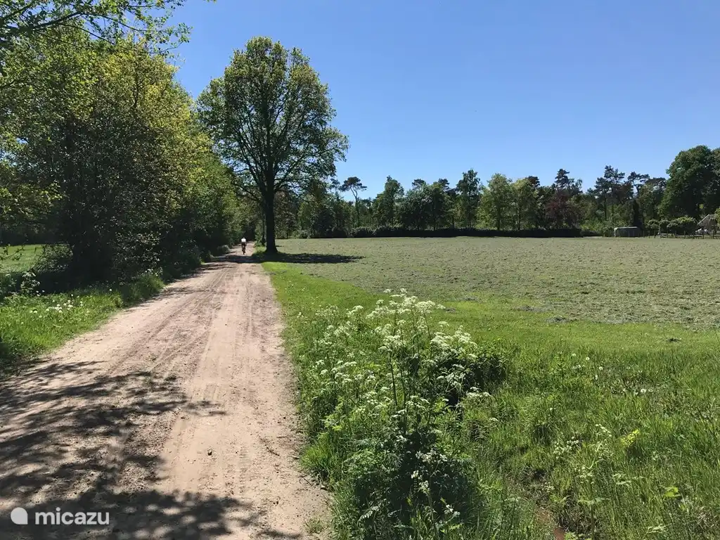 Lievelde liegt an einem der schönsten Orte im Achterhoek. Umgeben von der grünen Ruhe weitläufiger Wälder und Wiesen und historischer Städte. Ausgangspunkt für verschiedene Rad- und Wanderrouten. 