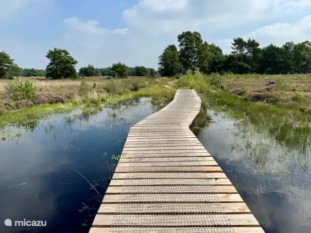 Location de Vacances Pays-Bas, Gueldre, Lievelde, maison de vacances - NatuurlijkLievelde Dans notre maison, il y a une carte avec de nombreux itinéraires de randonnée dans la région.