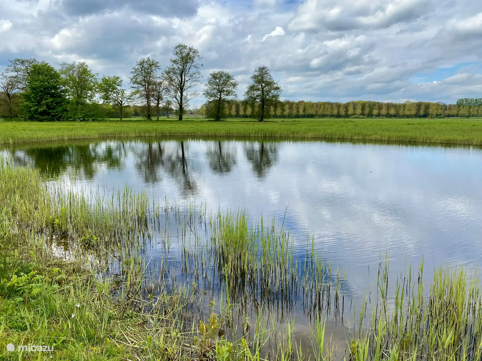 Mögen Sie Ruhe, Wandern, Radfahren, Fotografieren oder Reiten? Im Achterhoek finden Sie eine enorme Menge an besonderen Wäldern, Mooren, Heiden und Gewässern. Es gibt viel zu entdecken. Ziehen Sie Ihre Wanderschuhe an und entdecken Sie die Naturschutzgebiete des Achterhoek. 