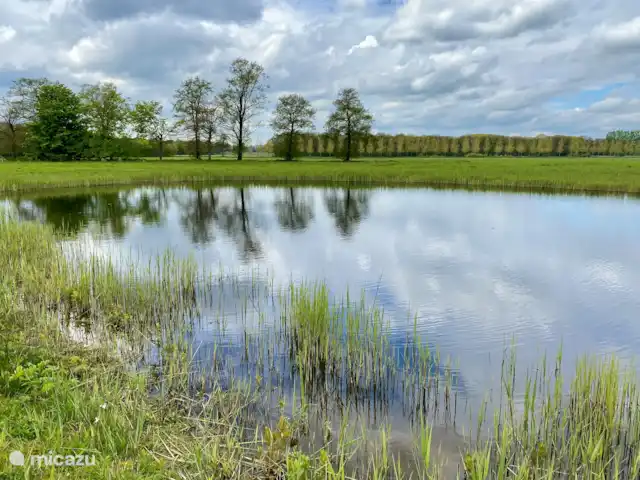 Location de Vacances Pays-Bas, Gueldre, Lievelde, maison de vacances - NatuurlijkLievelde Vous aimez le calme, la marche, le vélo, la photographie ou l’équitation ? Dans l’Achterhoek, vous trouverez une énorme quantité de forêts, de marais, de landes et d’eaux spéciales. Il y a beaucoup à découvrir. Enfilez vos chaussures de marche et partez à la découverte des réserves naturelles de l’Achterhoek.