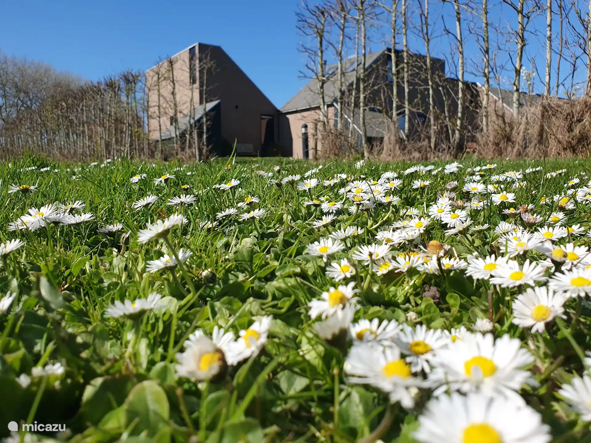 Printemps aux Buitenplaats 