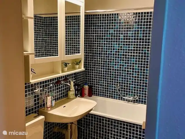 Aragón en Suiza, Valais, Ernen - apartamento Baño