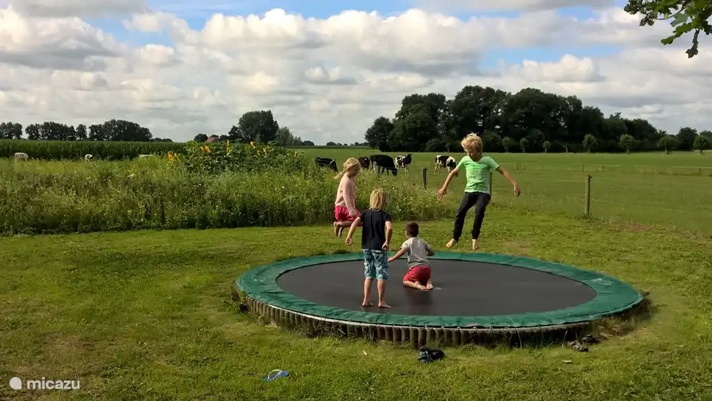 Trampolin, Schaukeln, Go-Kart, Wippe, Kletterseile. Es gibt viel für die Kinder zu tun.