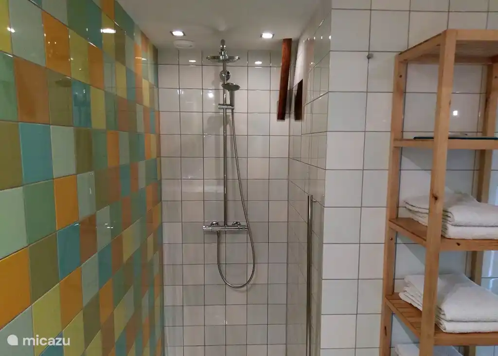 Walk-in-Dusche mit Massage und Regendusche