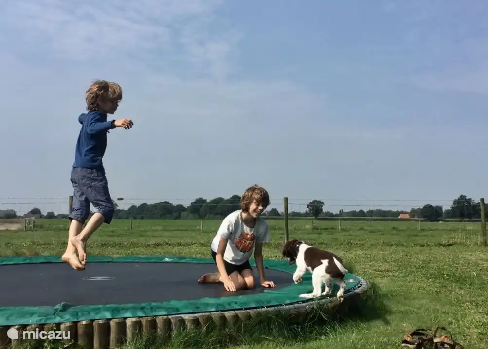 Urlaub für Ihren Hund!