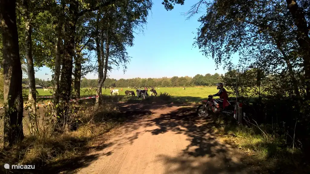 Schotterstraßen und Motorcross. Mehr Achterhoek kapiert es nicht.