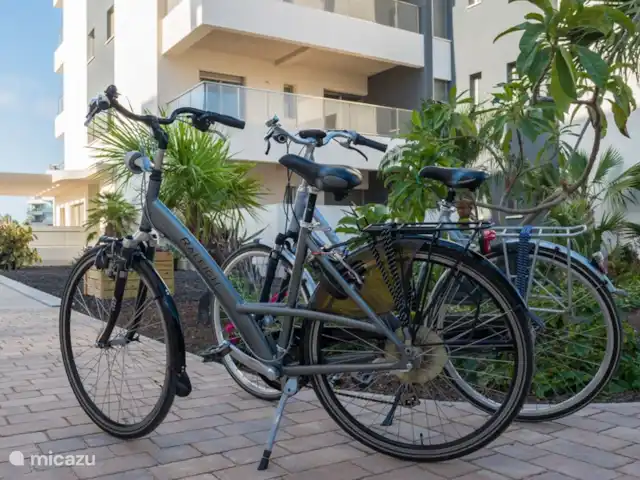 AguileraEspagne | Espagne, Costa Blanca, Villamartin - appartement Ces 2 vélos sont à votre disposition