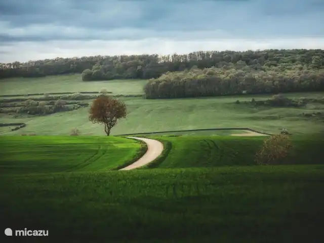 Location de Vacances France, Côte-d'Or, Sainte-Colombe-en-Auxois, gîte / cottage - La Petite Colomb Alentours