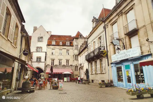 Rent Gîte Château Sainte Colombe 28 pers in SainteColombeenAuxois