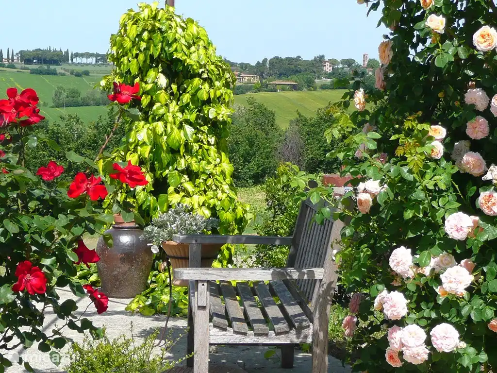 Der Garten ist überall für unsere Gäste zugänglich. Im Garten zerstreut gibt es Sitzbaenke um die Aussicht zu genießen.