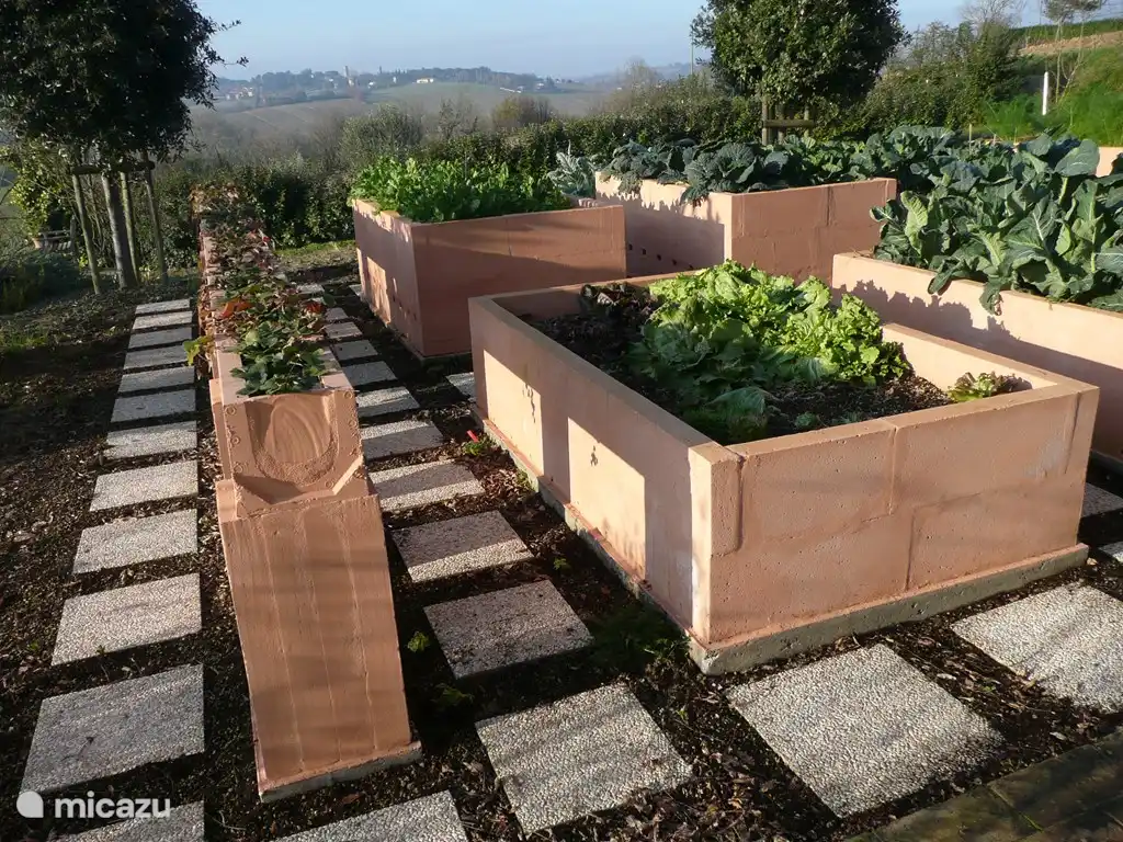 Ein Teil des Gemüsegartens.