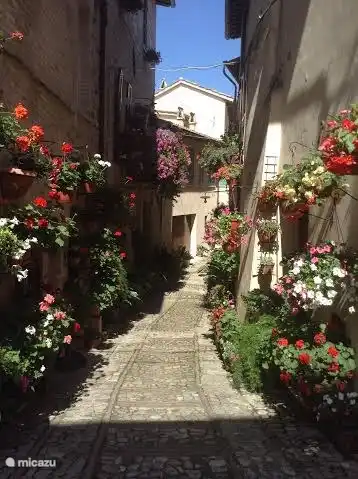 Das Staedtchen Spello mit seinen ruhigen Gassen voller Blumen.