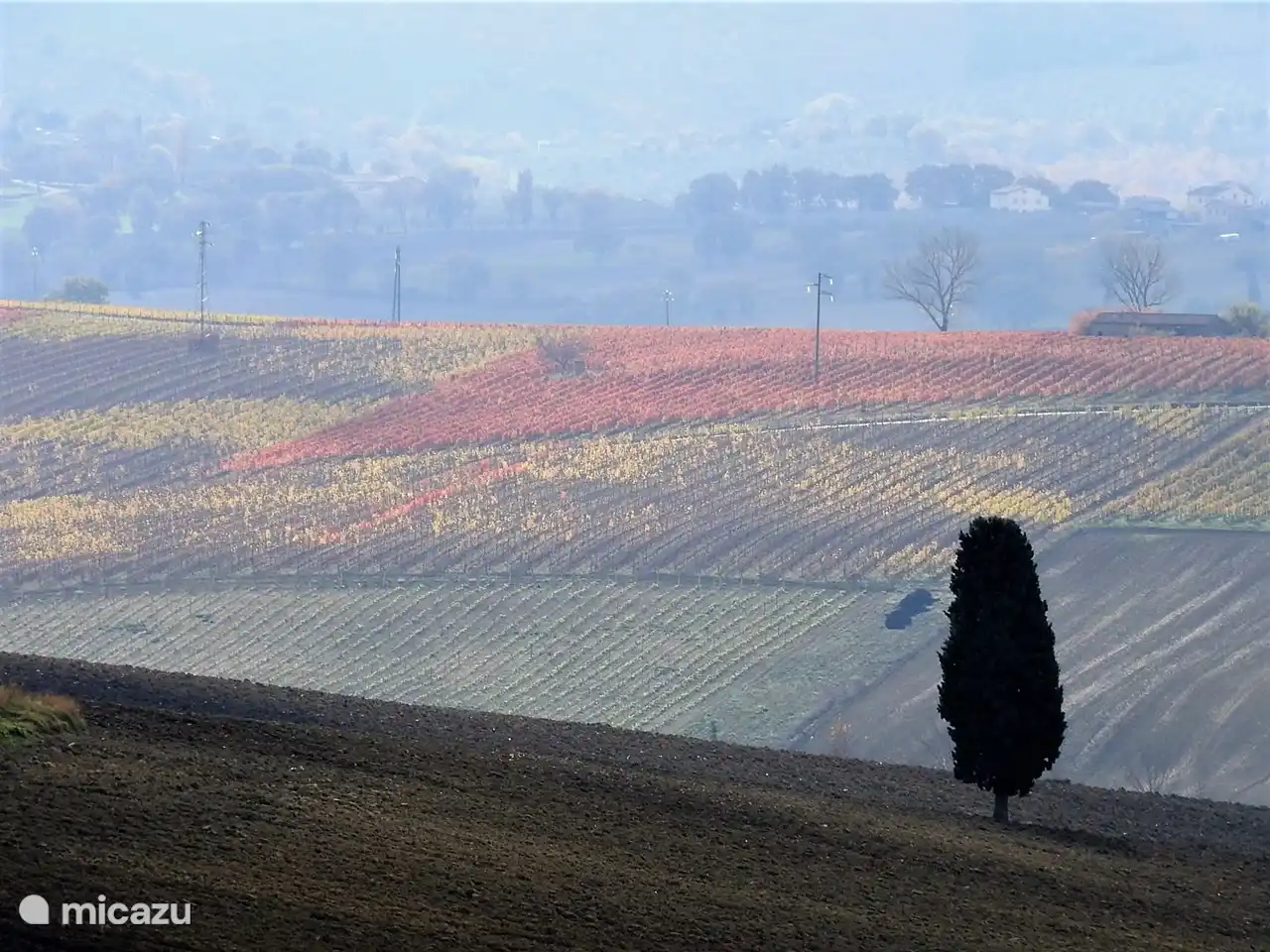 Die schönen Farben der Weinberge rund um Montefalco im Herbst