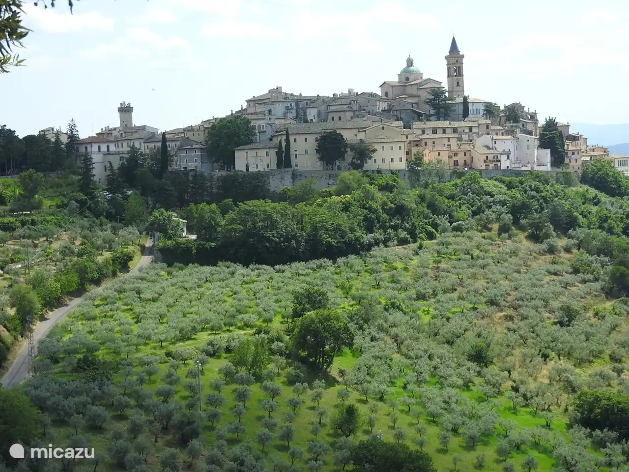 Trevi: das Zentrum von Olivenöl in Umbrien.