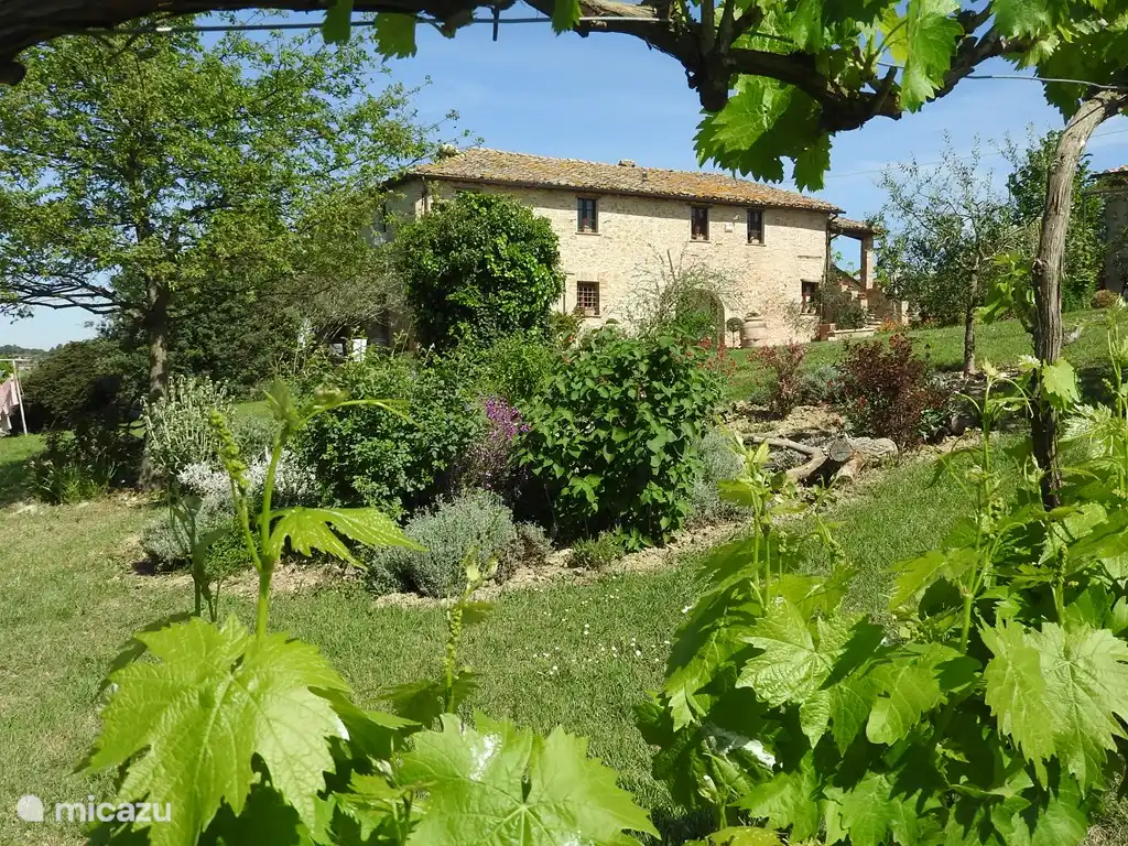 Ein Blick in den Garten.