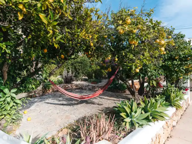 Casa MasyGeer | Espagne, Costa Blanca, Jávea - villa Oranges et pamplemousses