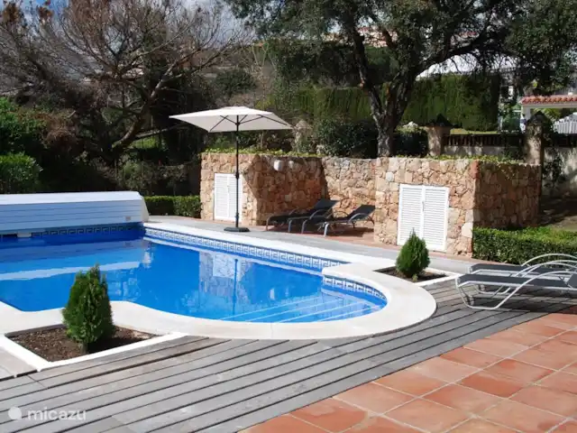 Location de Vacances Espagne, Costa del Sol, Marbella, villa - El Limonero Piscine et terrasse ensoleillée