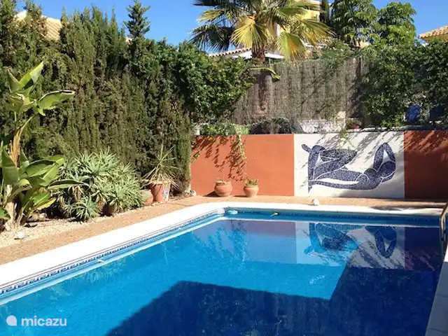 Casa Picasso huren in Spanje, Costa Cálida, Mazarrón - bungalow Heerlijk zwembad met een mozaïek van Matisse