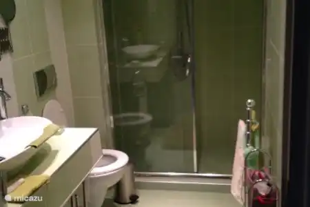 Vakantiehuis Hongarije, Boedapest, Boedapest appartement Pelikino appartement badkamer
