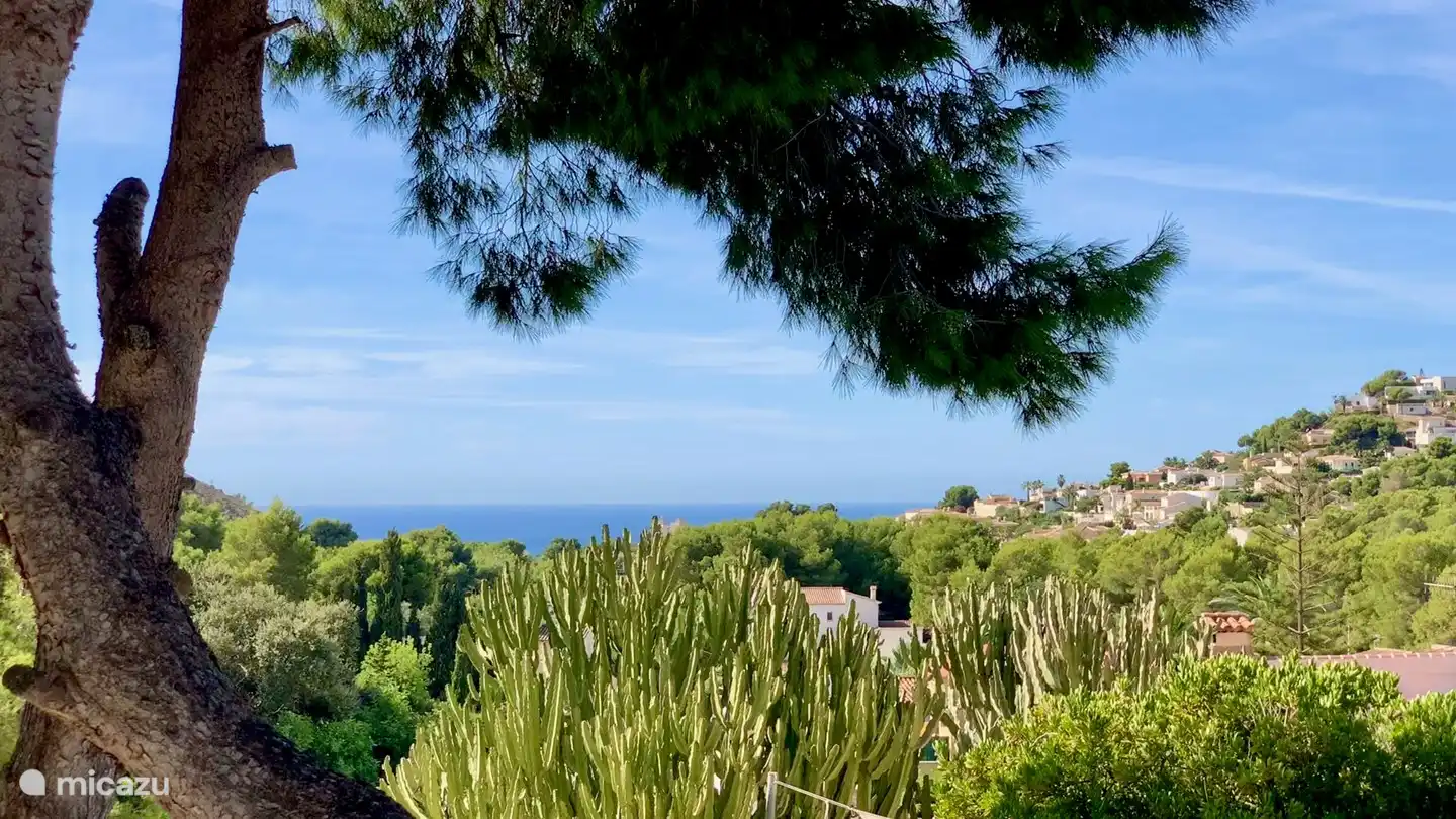 Sea view from the garden