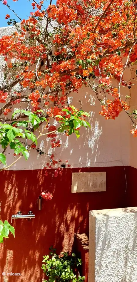 Villa Jardin Tropical Calafat Retreats