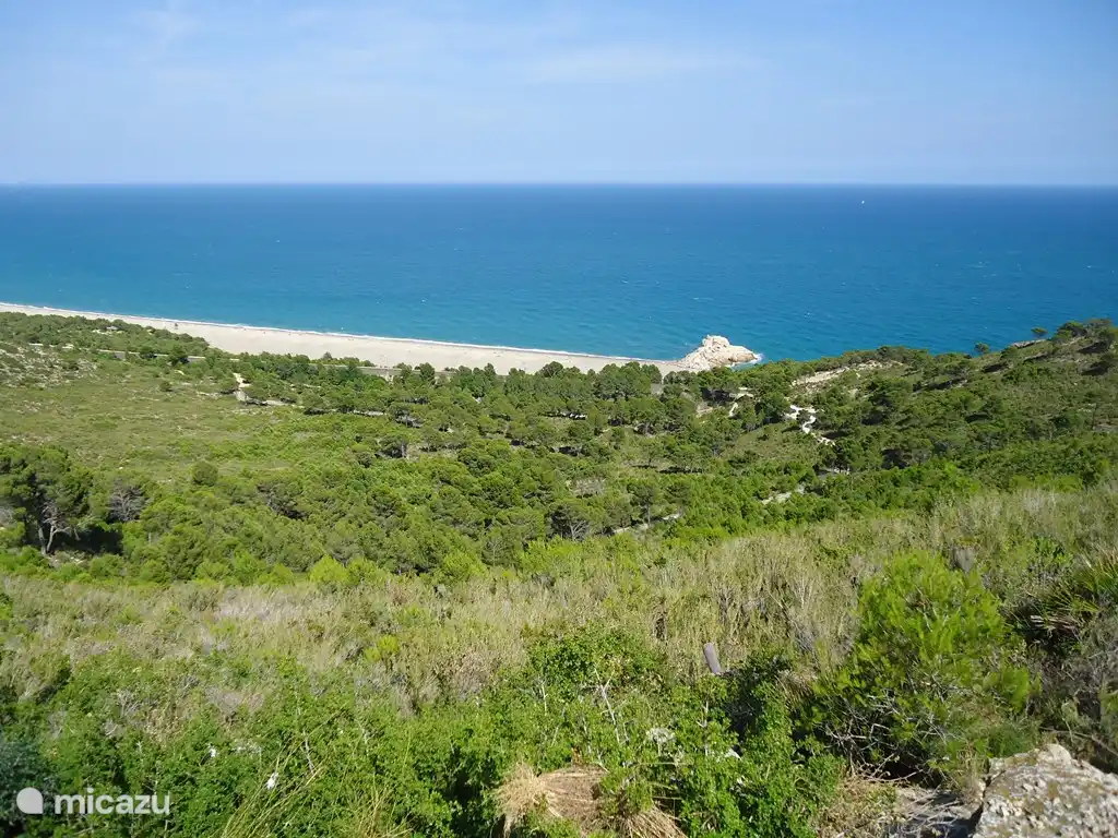 Villa Jardin Tropical Calafat Retreats
Playa del Thorn