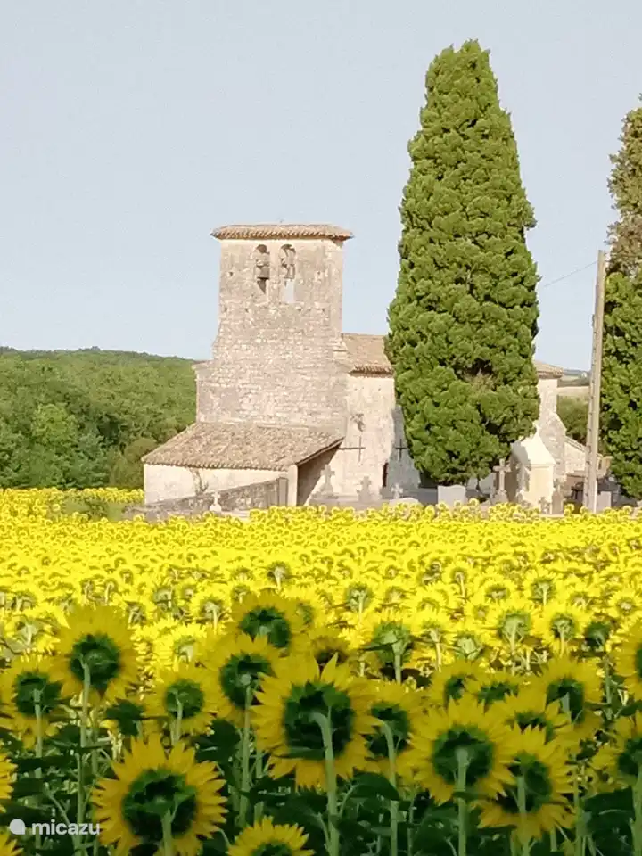 Kapelle St. Gervais in einem für Quercy typischen Sonnenblumenfeld.