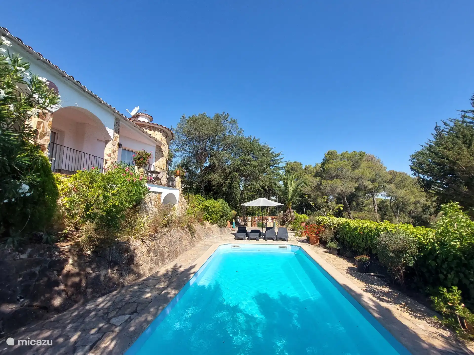 Schwimmbad mit Liegestühlen