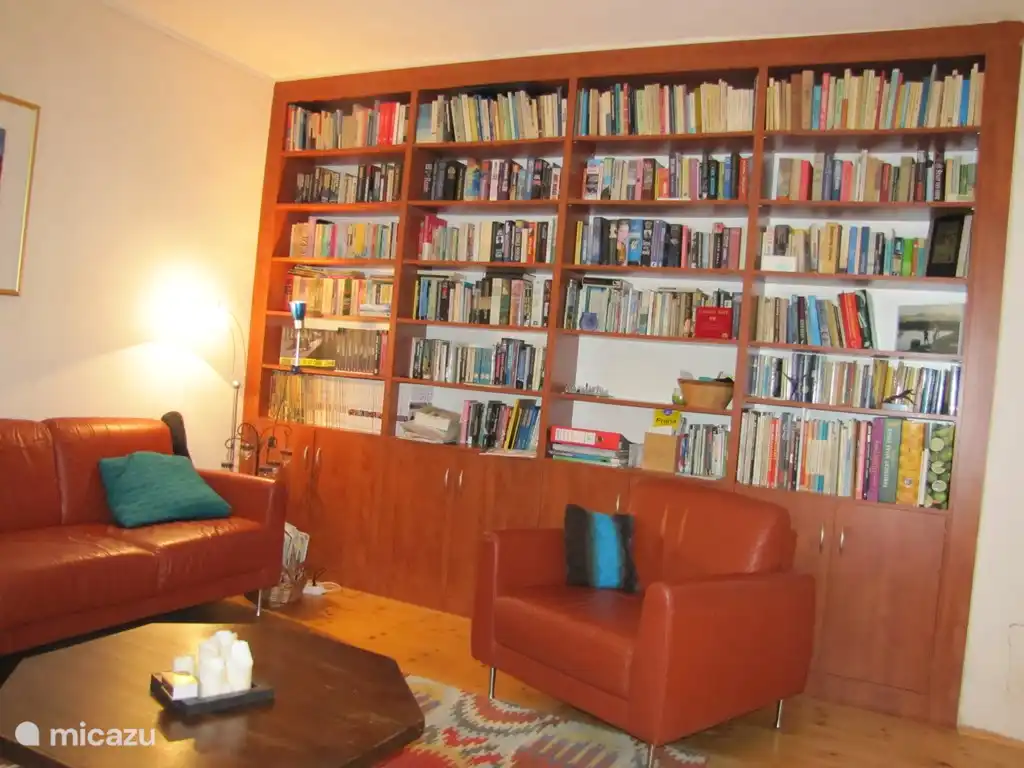 living room bookcase