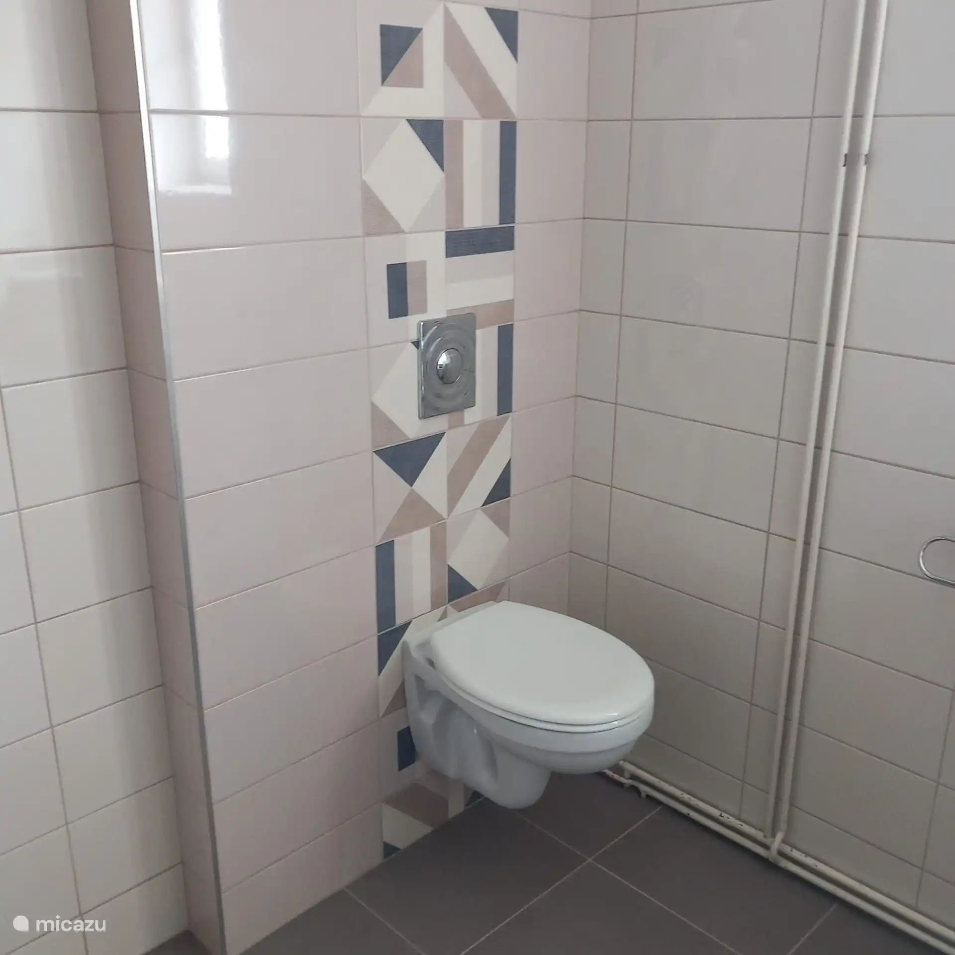 toilet in the bathroom