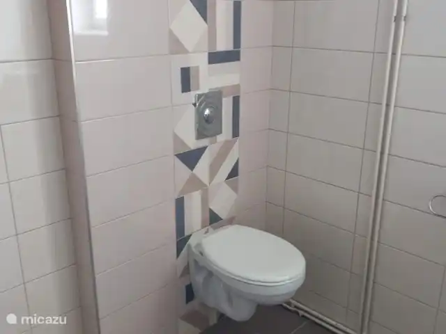 vakantiehuis huren in Tsjechië, Zuid-Bohemen, Hejna – Bila Ruze toilet in de badkamer
