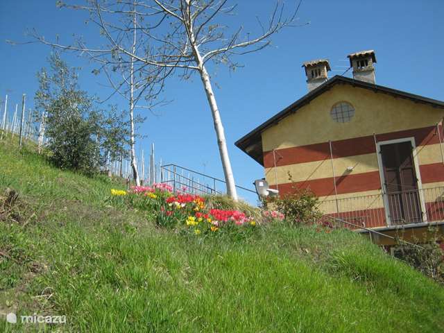 Holiday home in Italy, Piedmont, Monforte D Alba - holiday house Albarolo