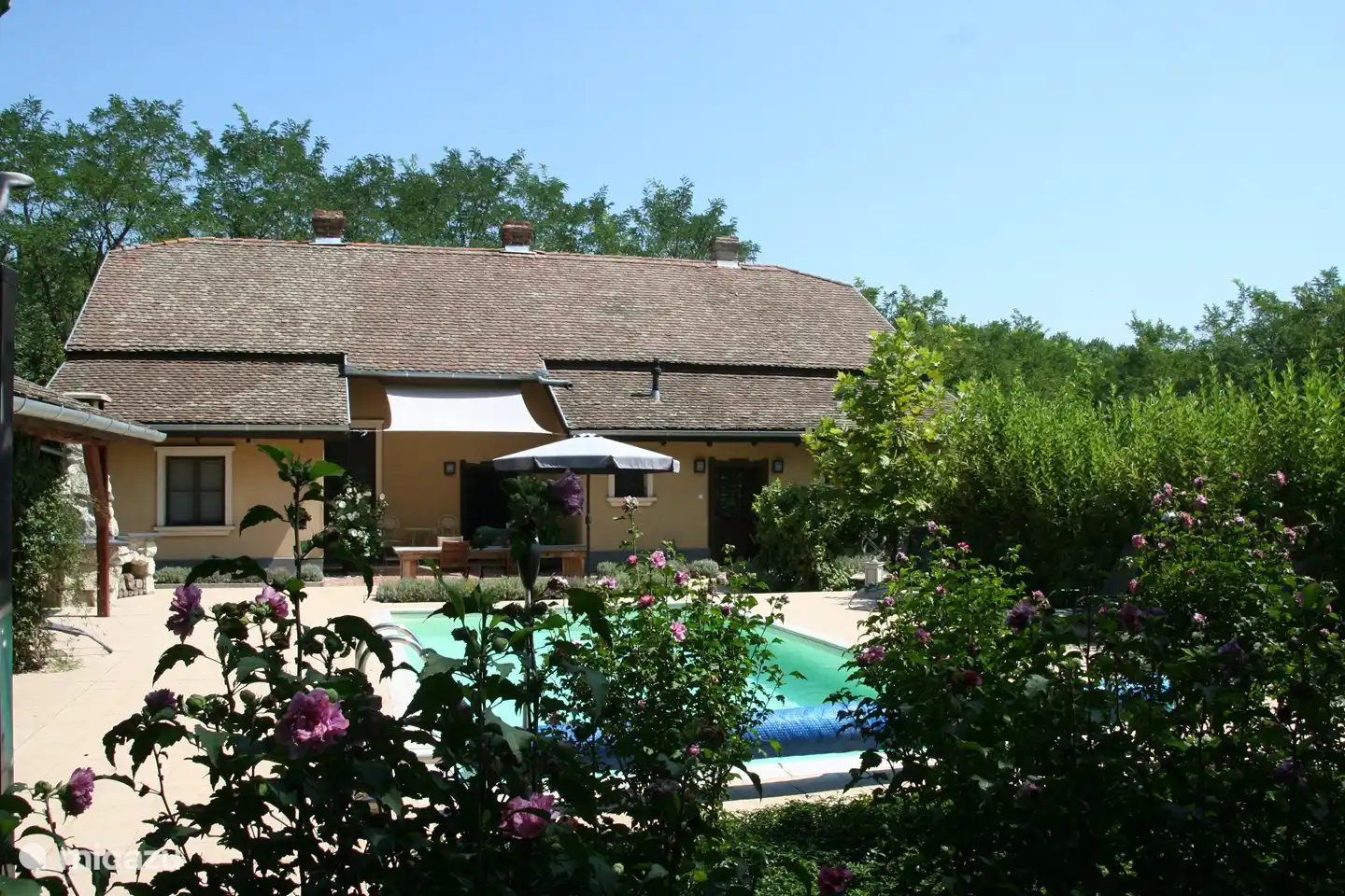 Swimming pool and house
