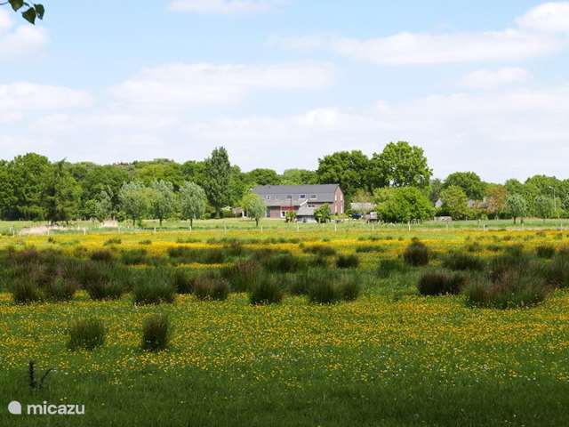 Holiday home in Netherlands, Limburg, Wellerlooi - holiday house Holiday home the Nightingale