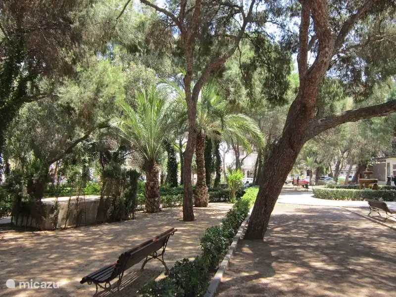 Casa Nord | Espagne, Costa Blanca, Guardamar del Segura - Appartement