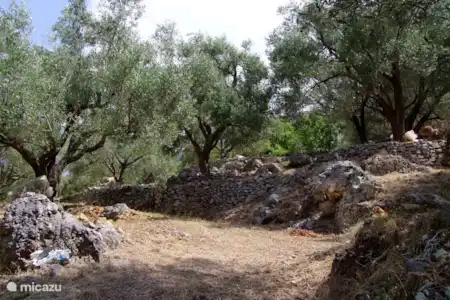 Vibonati et le Cilento