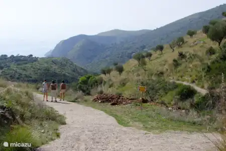 Vibonati et le Cilento
