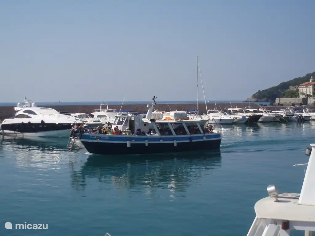 barco a las playas de la costa en Scario