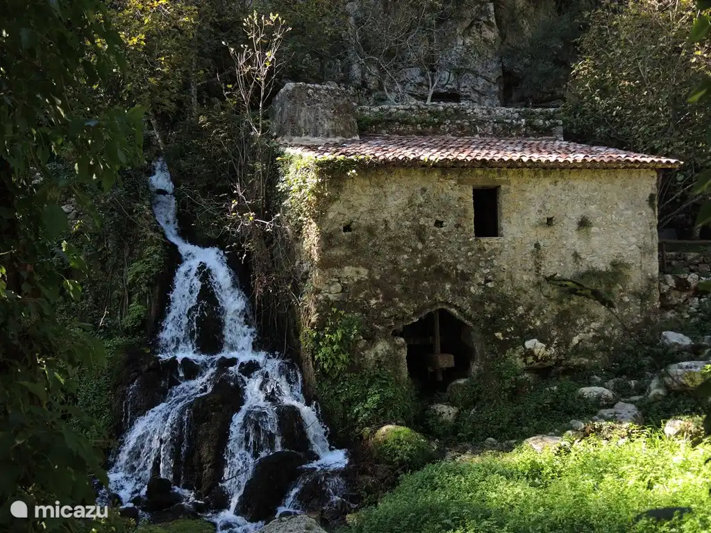 Morigerati, Molino de Agua Oasis WWF