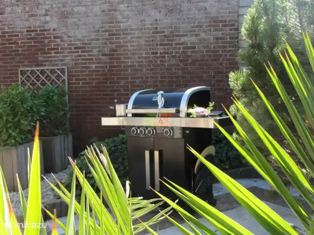 Location de Vacances Pays-Bas, Hollande du Nord, Caps, bungalow - Bungalow Petten aan Zee le barbecue