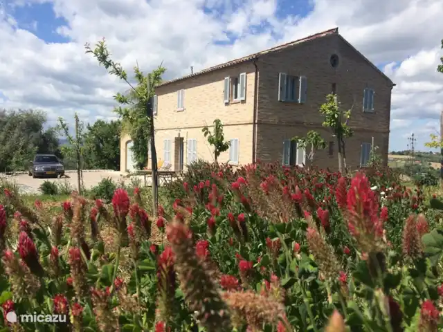 Location de Vacances Italie, Marche, Montegiorgio, maison de vacances - La maison de Giorgio Location de Vacances Italie, Marche, Montegiorgio, maison de vacances - La maison de Giorgio