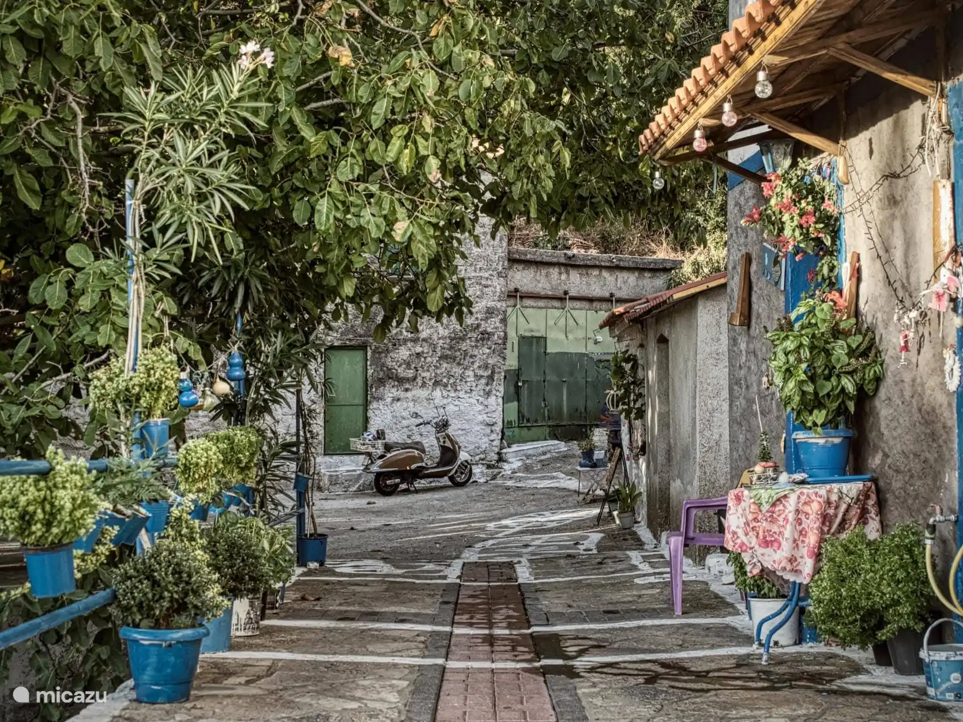 The street towards our house and the house of our Kalijopi neighbor