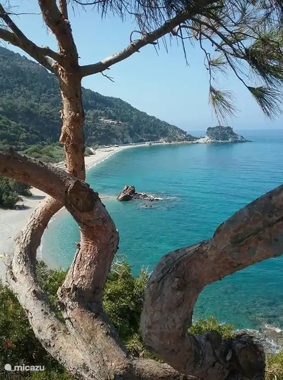 het strand van Potamie beach