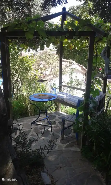  Het terras in de schaduw van de olijfboom