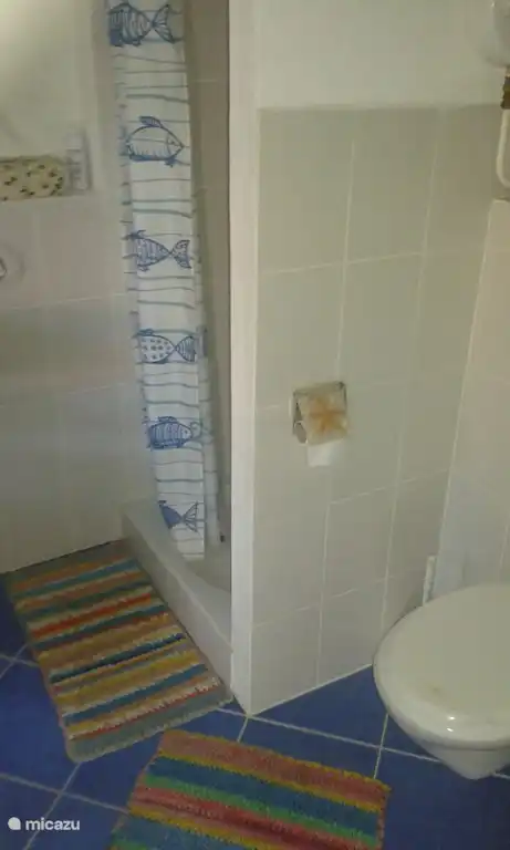de badkamer voorzien van douche , toilet en vaste wastafel