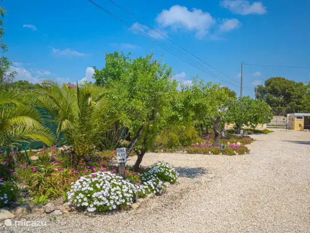 Finca Bilou, maison de vacances pour 10 personnes | Espagne, Costa Blanca, Aigües - finca Jardin/compartiments d'emballage