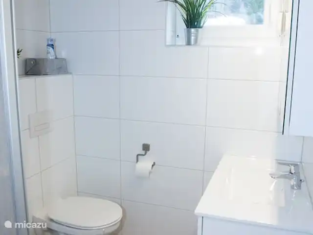 Haus GlückAuf 1&2,Sauna,Bains à remous,Piscine | Autriche, Carinthie, Arnoldstein - maison de vacances Salle de bain 1 avec douche, meuble vasque et meuble miroir