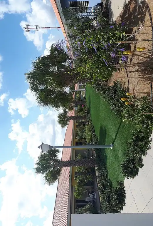 Wunderschöner tropischer Garten!