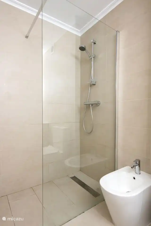Salle de bain avec douche à effet pluie, chauffage, toilettes, bidet et lavabo spacieux